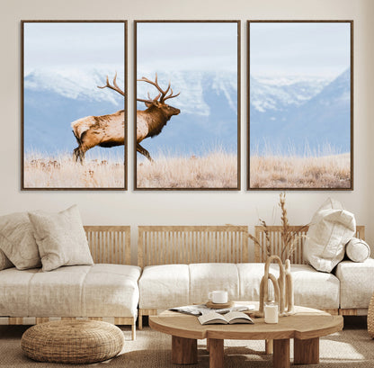 An elk walking on snowy grassland with majestic mountains in the background, ideal for rustic lodge or cabin wall decor.