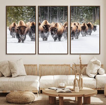 A herd of American bisons walking through a snowy forest path, perfect for rustic cabin or Western-themed wall decor.