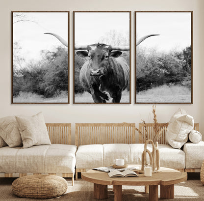 Black and white photo of a longhorn cow in a field, perfect for rustic farmhouse or western-themed interior wall decoration.