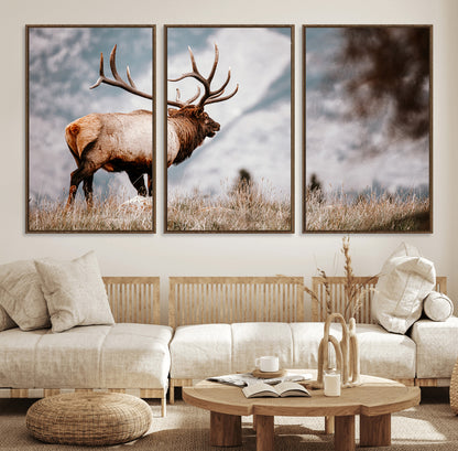 Majestic elk with large antlers standing in grass with snowy mountains in background, perfect for rustic cabin or lodge style decor.