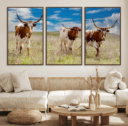 Three Texas longhorn cattle standing in dry grass under a bright blue sky, ideal for farmhouse or western rustic home decor.