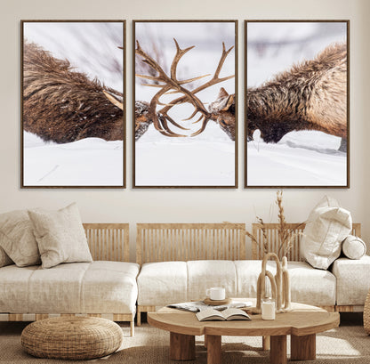 Two elk clashing antlers in a snowy forest, capturing raw power and wild energy, ideal for rustic cabin or lodge-style decor.