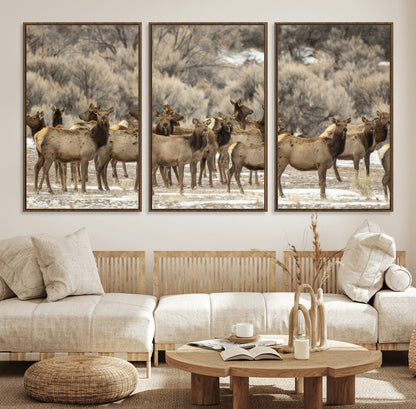 A large herd of elk standing in an open field with soft earthy tones, ideal for rustic lodge or western-themed home wall decor.