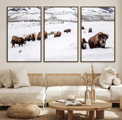 A herd of bison walking through deep snow in a mountain valley, perfect for rustic, cabin or western-themed wall decor.