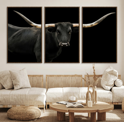 Close-up of a black Texas longhorn with large curved horns on black background, ideal for rustic farmhouse or modern western interiors.