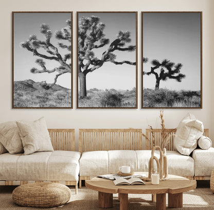 Black and white Joshua trees in a rugged desert landscape, creating a calm and minimalist feel for natural or rustic-themed interiors.