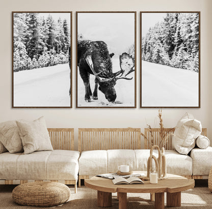 A majestic moose grazing in the snow-covered wilderness, surrounded by snow-covered trees, creating a peaceful winter scene.