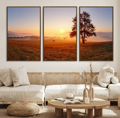 A tranquil landscape at sunrise with a mist-covered field and a lone tree, creating a peaceful and natural atmosphere.