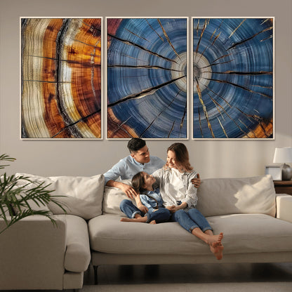 A stunning close-up view of a tree trunk, showcasing the intricate growth rings in a vibrant mix of warm browns, cool blues, and hints of natural texture.