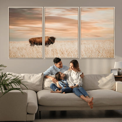 Bison Wall Art Print - Buffalo Canvas Print, featuring a lone bison in a golden prairie under a warm sunset sky, perfect for rustic and farmhouse decor.