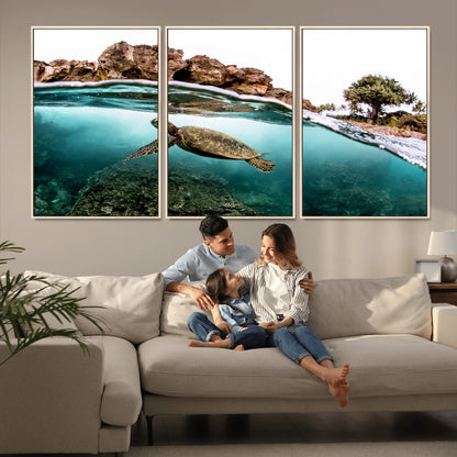 Dynamic split-view photo of a sea turtle swimming near rocky shores, perfect for vibrant coastal or tropical beach home decor.