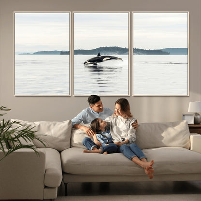 An orca jumping out of calm ocean waters with a misty island in the background, creating a serene and minimalist marine wildlife scene.