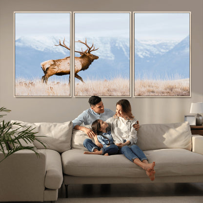 An elk walking on snowy grassland with majestic mountains in the background, ideal for rustic lodge or cabin wall decor.