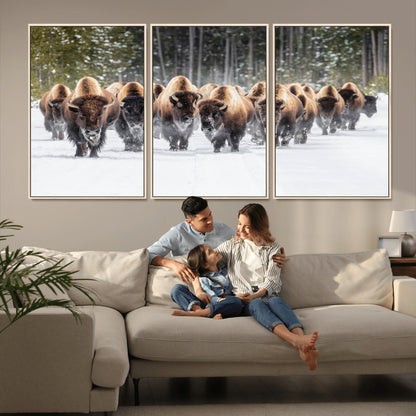 A herd of American bisons walking through a snowy forest path, perfect for rustic cabin or Western-themed wall decor.