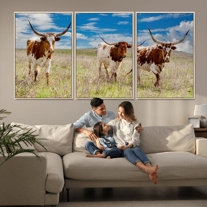 Three Texas longhorn cattle standing in dry grass under a bright blue sky, ideal for farmhouse or western rustic home decor.
