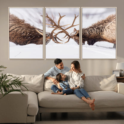 Two elk clashing antlers in a snowy forest, capturing raw power and wild energy, ideal for rustic cabin or lodge-style decor.