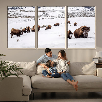 A herd of bison walking through deep snow in a mountain valley, perfect for rustic, cabin or western-themed wall decor.