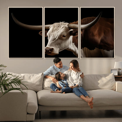 "Close-up of a brown and white longhorn cow with prominent curved horns against a black background."