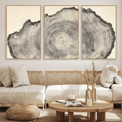 Detailed tree ring drawing in monochrome tones, ideal for rustic or nature-inspired interiors with a minimal decor aesthetic.