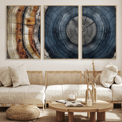 A stunning close-up of a tree trunk showing the intricate, circular growth rings, showcasing the natural textures and rich contrasts in deep blues, browns, and silvers.