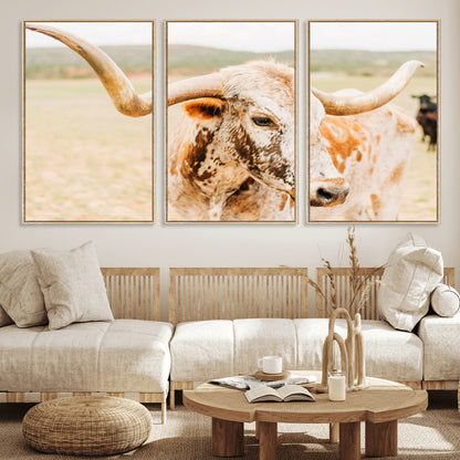 Close-up of a speckled Texas Longhorn in warm prairie tones, perfect for rustic western or countryside-themed room decor.