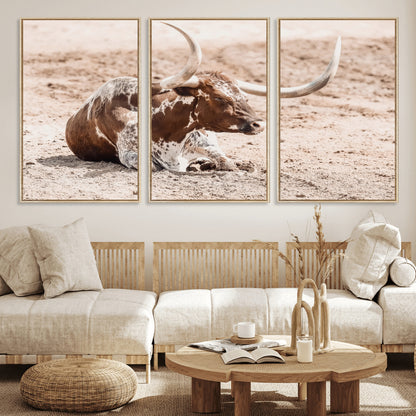 Texas Longhorn bull resting on dusty ground with warm tones, ideal for rustic western or farmhouse-themed wall decor.