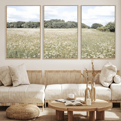 Soft-toned image of a wild daisy field under a cloudy sky, ideal for neutral or Scandinavian-inspired home decor.