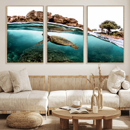 Dynamic split-view photo of a sea turtle swimming near rocky shores, perfect for vibrant coastal or tropical beach home decor.