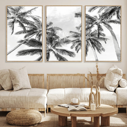 Black and white tropical palm trees viewed from below, swaying gently against a bright sky, creating a serene and elegant coastal atmosphere.
