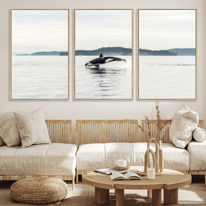 An orca jumping out of calm ocean waters with a misty island in the background, creating a serene and minimalist marine wildlife scene.