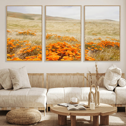 A golden field with vibrant orange poppies blooming across rolling hills under a soft, sunlit sky, creating a warm and rustic landscape.