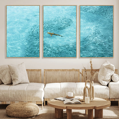 Aerial view of a shark swimming through a swirl of fish in clear turquoise waters, perfect for calm coastal or beach house decor.