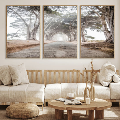 Canvas of a misty tree tunnel with arching cypress trees and an earthy road, ideal for rustic or coastal nature decor.