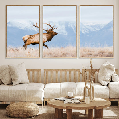 An elk walking on snowy grassland with majestic mountains in the background, ideal for rustic lodge or cabin wall decor.