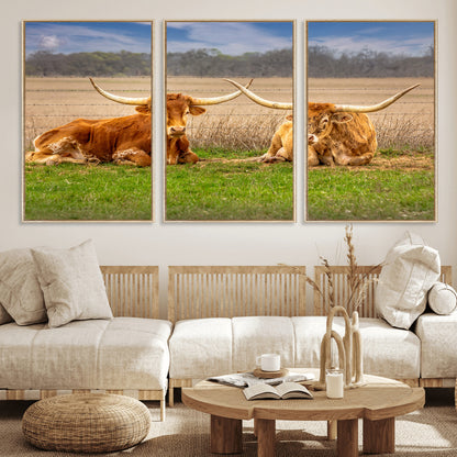 Two longhorn cows lying on green grass in front of a golden field and trees under a blue sky, perfect for rustic country wall decor.