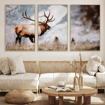 Majestic elk with large antlers standing in grass with snowy mountains in background, perfect for rustic cabin or lodge style decor.