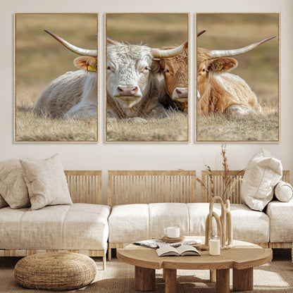 Two cows laying closely in a dry grassy field, captured in soft light, perfect for rustic farmhouse or western style home decor.
