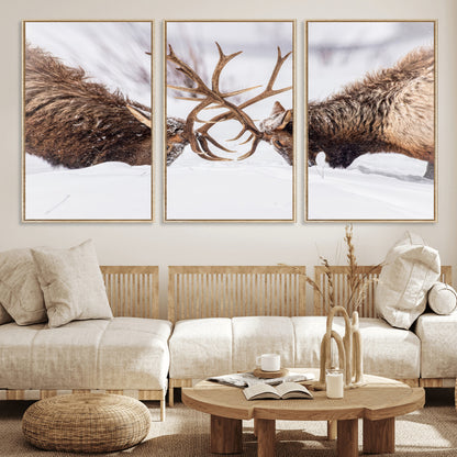 Two elk clashing antlers in a snowy forest, capturing raw power and wild energy, ideal for rustic cabin or lodge-style decor.
