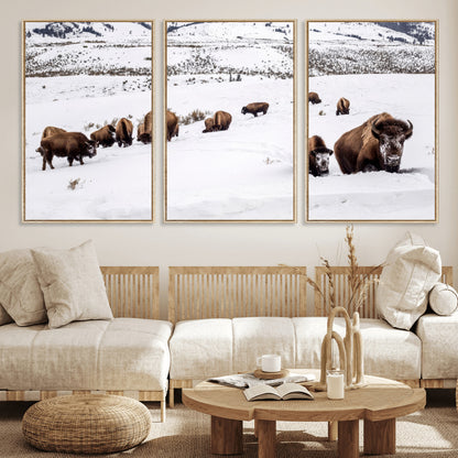 A herd of bison walking through deep snow in a mountain valley, perfect for rustic, cabin or western-themed wall decor.