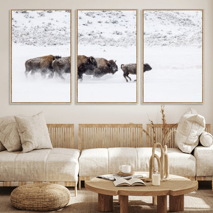 Bison herd running through a snowy open field with mountain backdrop, perfect for rustic or western-themed wall decoration.