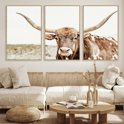 A Texas longhorn bull with wide horns, standing in a dry field under soft light, ideal for rustic farmhouse or western-themed interiors.