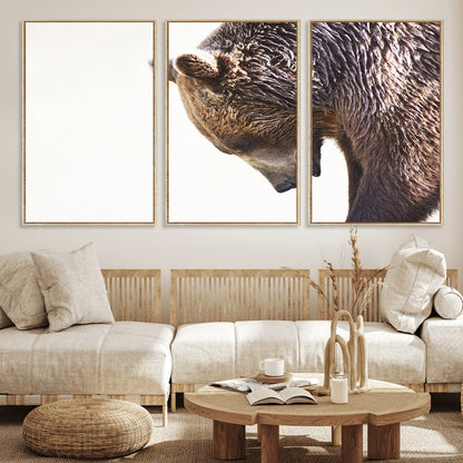 Majestic Bear Portrait - Capture the raw beauty of a bear in a detailed close-up, perfect for your Wall Art Canvas Print collection