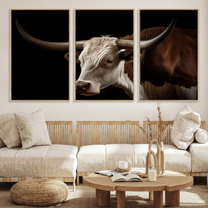 "Close-up of a brown and white longhorn cow with prominent curved horns against a black background."
