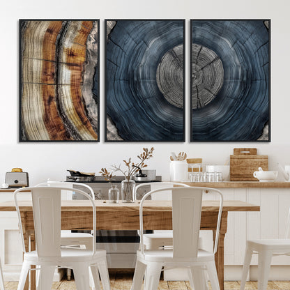 A stunning close-up of a tree trunk showing the intricate, circular growth rings, showcasing the natural textures and rich contrasts in deep blues, browns, and silvers.