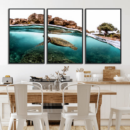 Dynamic split-view photo of a sea turtle swimming near rocky shores, perfect for vibrant coastal or tropical beach home decor.