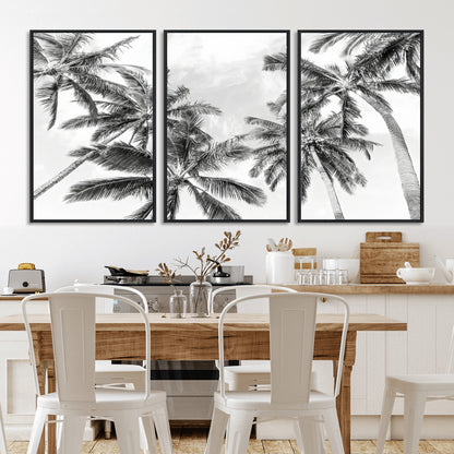 Black and white tropical palm trees viewed from below, swaying gently against a bright sky, creating a serene and elegant coastal atmosphere.