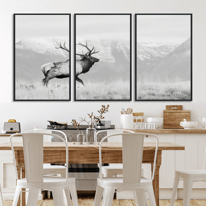 Black and white photograph of a majestic elk standing in a grassy field with snow-capped mountains in the background, creating a bold and rustic wilderness scene.