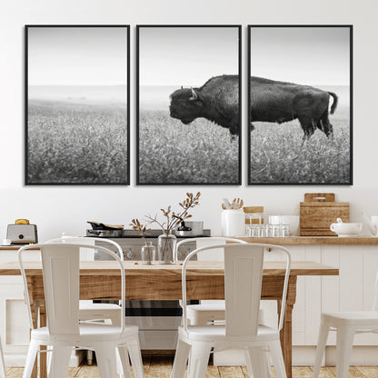 A black and white photograph of a majestic bison standing in a vast grassy prairie, evoking a sense of wilderness and strength.