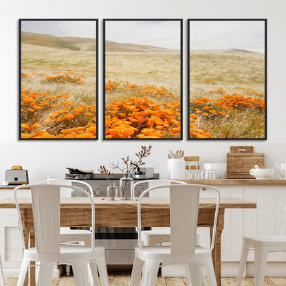A golden field with vibrant orange poppies blooming across rolling hills under a soft, sunlit sky, creating a warm and rustic landscape.