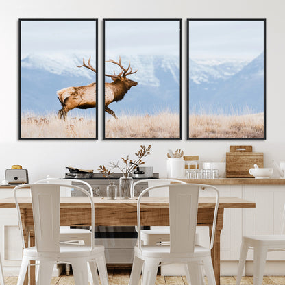An elk walking on snowy grassland with majestic mountains in the background, ideal for rustic lodge or cabin wall decor.